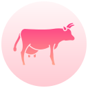 vaca icon