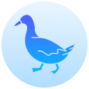 pato icon