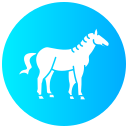 caballo icon