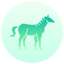 caballo icon