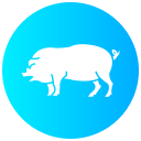 cerdo icon