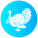 pavo icon