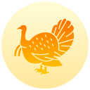 pavo icon