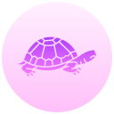 tortuga icon