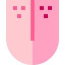 Lengua icon