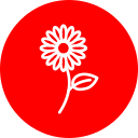 girasol icon