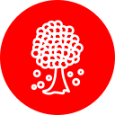 Árbol icon