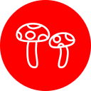 hongos icon