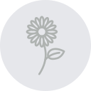 girasol icon