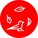 pájaro icon