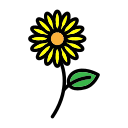 girasol icon