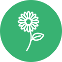 girasol icon