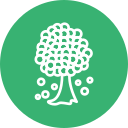 Árbol icon