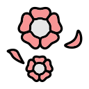 sakura icon