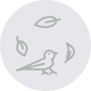 pájaro icon