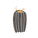 calabaza 