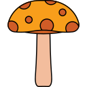 pilze icon