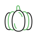 calabaza icon