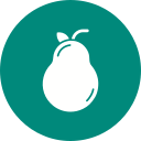 guayaba icon