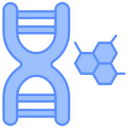 estructura del adn 