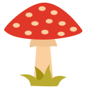 amanita muscaria 