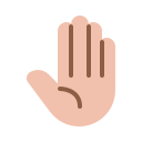 detener la mano icon