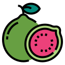 guayaba icon