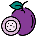 granadilla icon