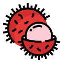 rambután icon