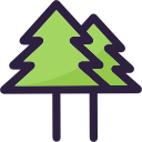 pines icon