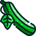 Pepino icon