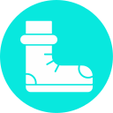 bota icon