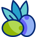 aceituna animated icon