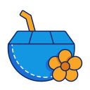 agua de coco icon