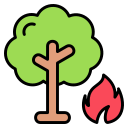 incendio forestal icon