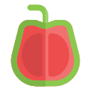 guayaba icon