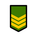 insignia militar icon