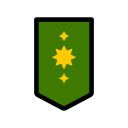 insignia militar icon