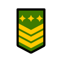 insignia militar icon