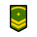 insignia militar icon