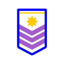 insignia militar icon