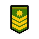 insignia militar icon