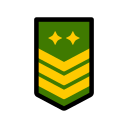 insignia militar icon