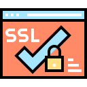 Ssl icon