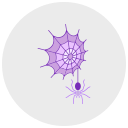 spinnennetz 