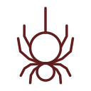 araña icon