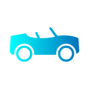 auto icon