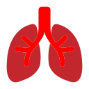 problema de pulmones 