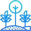 biodiversidad icon