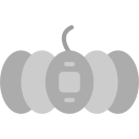 calabaza icon